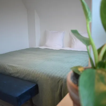 Appartement Viking Surf House à Klitmøller Extérieur photo